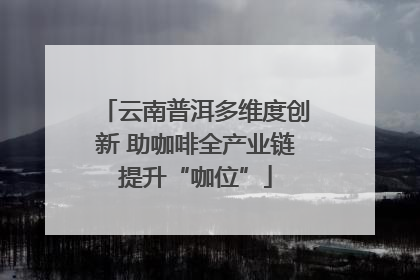 云南普洱多维度创新 助咖啡全产业链提升“咖位”