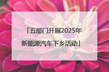 五部门开展2025年新能源汽车下乡活动