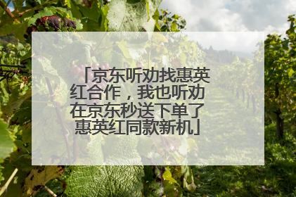 京东听劝找惠英红合作，我也听劝在京东秒送下单了惠英红同款新机