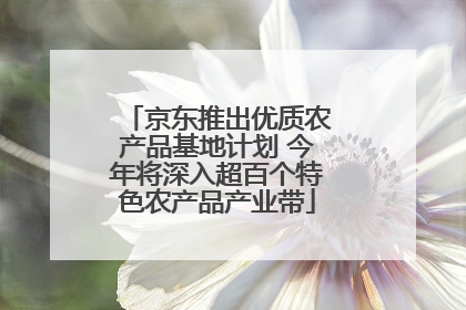 京东推出优质农产品基地计划 今年将深入超百个特色农产品产业带