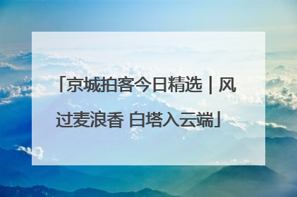 京城拍客今日精选｜风过麦浪香 白塔入云端