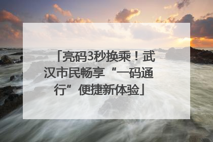 亮码3秒换乘！武汉市民畅享“一码通行”便捷新体验