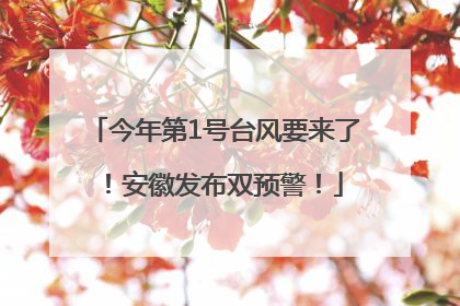 今年第1号台风要来了！安徽发布双预警！
