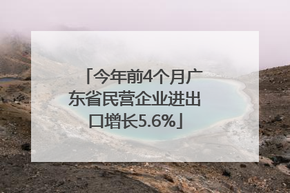 今年前4个月广东省民营企业进出口增长5.6%