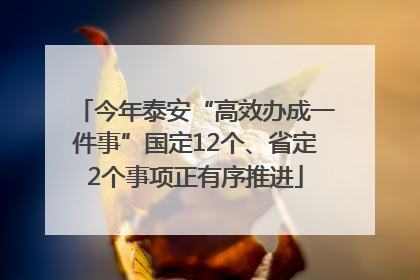 今年泰安“高效办成一件事”国定12个、省定2个事项正有序推进