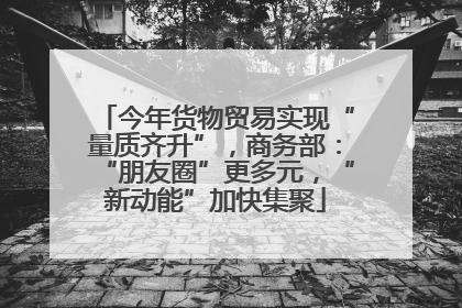 今年货物贸易实现“量质齐升”，商务部：“朋友圈”更多元，“新动能”加快集聚