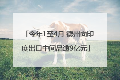 今年1至4月 德州向印度出口中间品逾9亿元