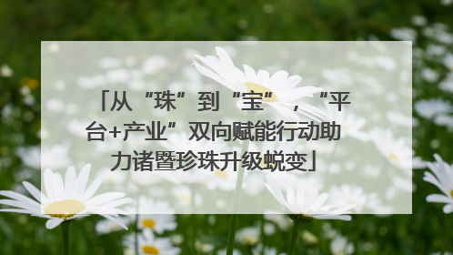 从“珠”到“宝”，“平台+产业”双向赋能行动助力诸暨珍珠升级蜕变