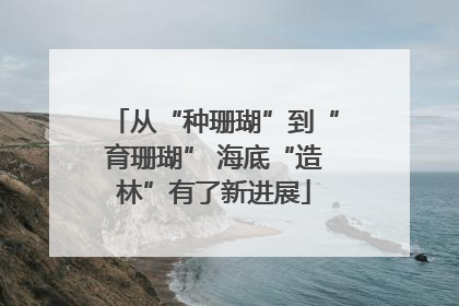 从“种珊瑚”到“育珊瑚” 海底“造林”有了新进展