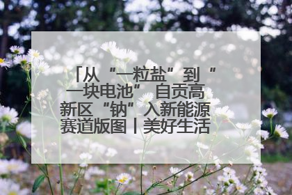从“一粒盐”到“一块电池” 自贡高新区“钠”入新能源赛道版图丨美好生活有“盐”味