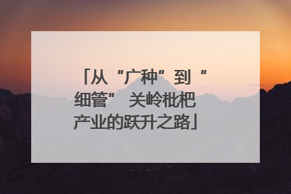 从“广种”到“细管” 关岭枇杷产业的跃升之路