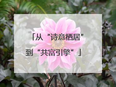 从“诗意栖居”到“共富引擎”