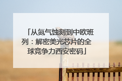 从氮气蚀刻到中欧班列：解密美光芯片的全球竞争力西安密码