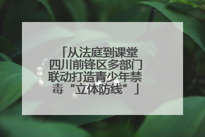 从法庭到课堂 四川前锋区多部门联动打造青少年禁毒“立体防线”