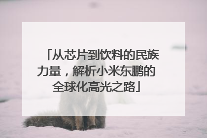 从芯片到饮料的民族力量，解析小米东鹏的全球化高光之路