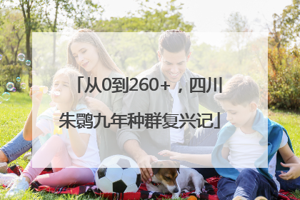 从0到260+，四川朱鹮九年种群复兴记