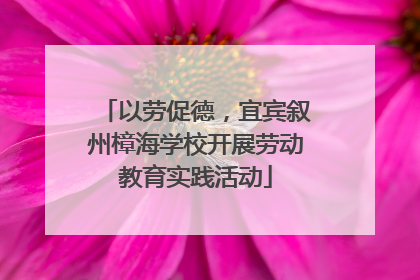 以劳促德，宜宾叙州樟海学校开展劳动教育实践活动