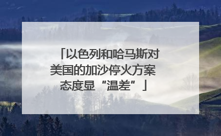 以色列和哈马斯对美国的加沙停火方案态度显“温差”