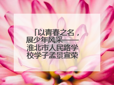 以青春之名，展少年风采——淮北市人民路学校学子孟景宣荣膺“新时代好少年”荣誉称号