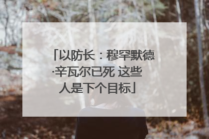以防长：穆罕默德·辛瓦尔已死 这些人是下个目标
