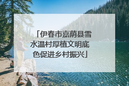 伊春市嘉荫县雪水温村厚植文明底色促进乡村振兴