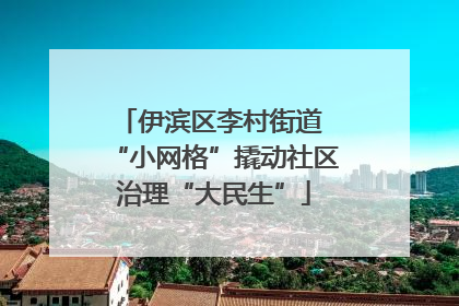 伊滨区李村街道 “小网格”撬动社区治理“大民生”