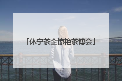休宁茶企惊艳茶博会