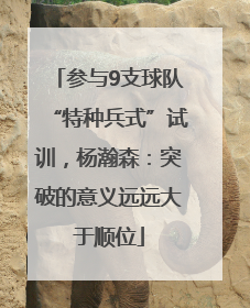 参与9支球队“特种兵式”试训，杨瀚森：突破的意义远远大于顺位