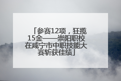 参赛12项，狂揽15金——崇阳职校在咸宁市中职技能大赛斩获佳绩
