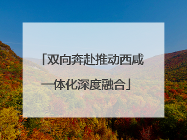 双向奔赴推动西咸一体化深度融合