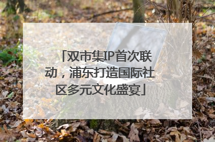 双市集IP首次联动，浦东打造国际社区多元文化盛宴