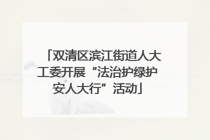 双清区滨江街道人大工委开展“法治护绿护安人大行”活动