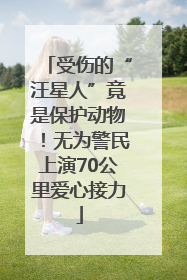 受伤的“汪星人”竟是保护动物！无为警民上演70公里爱心接力