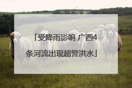 受降雨影响 广西4条河流出现超警洪水