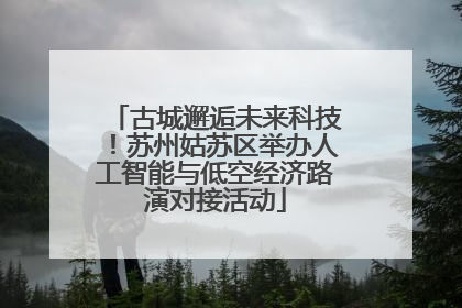 古城邂逅未来科技！苏州姑苏区举办人工智能与低空经济路演对接活动
