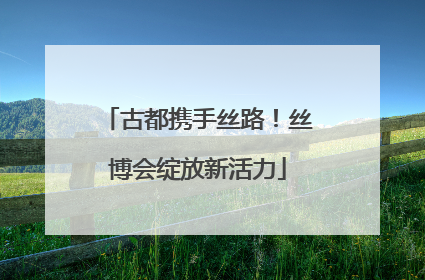 古都携手丝路！丝博会绽放新活力