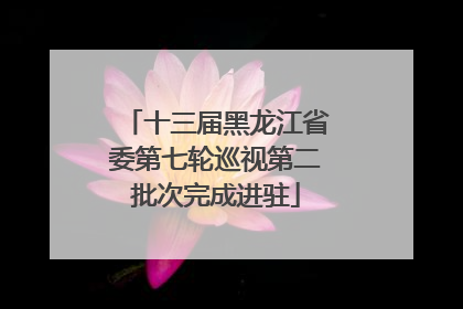 十三届黑龙江省委第七轮巡视第二批次完成进驻