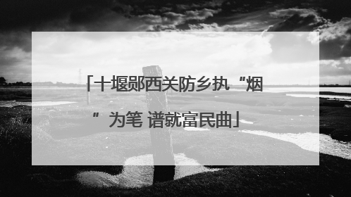 十堰郧西关防乡执“烟”为笔 谱就富民曲