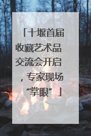 十堰首届收藏艺术品交流会开启，专家现场“掌眼”