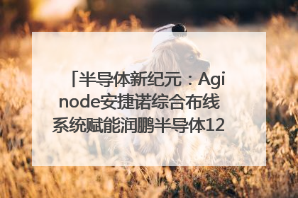 半导体新纪元：Aginode安捷诺综合布线系统赋能润鹏半导体12英寸集成电路生产线，携手共筑“芯”未来！