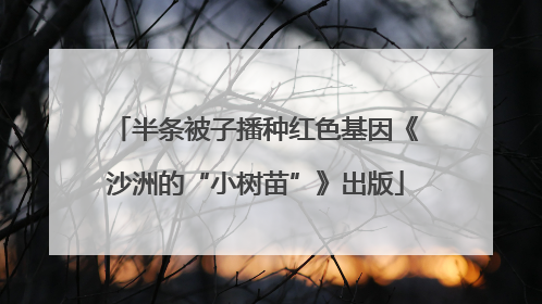 半条被子播种红色基因《沙洲的“小树苗”》出版