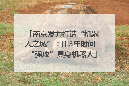 南京发力打造“机器人之城”：用3年时间“强攻”具身机器人