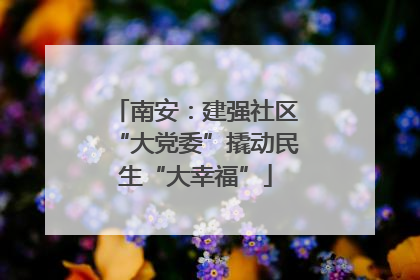 南安：建强社区“大党委”撬动民生“大幸福”