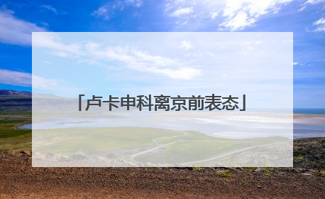 卢卡申科离京前表态