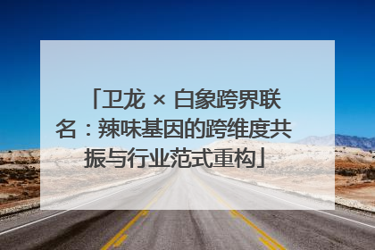 卫龙 × 白象跨界联名：辣味基因的跨维度共振与行业范式重构