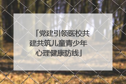 党建引领医校共建共筑儿童青少年心理健康防线