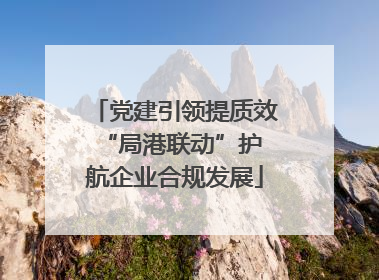 党建引领提质效 “局港联动”护航企业合规发展
