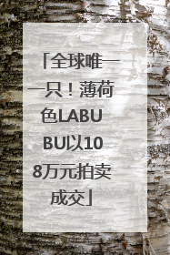 全球唯一一只！薄荷色LABUBU以108万元拍卖成交