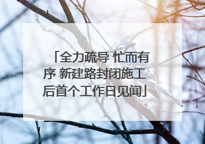 全力疏导 忙而有序 新建路封闭施工后首个工作日见闻