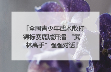 全国青少年武术散打锦标赛鹿城开擂 “武林高手”强强对话